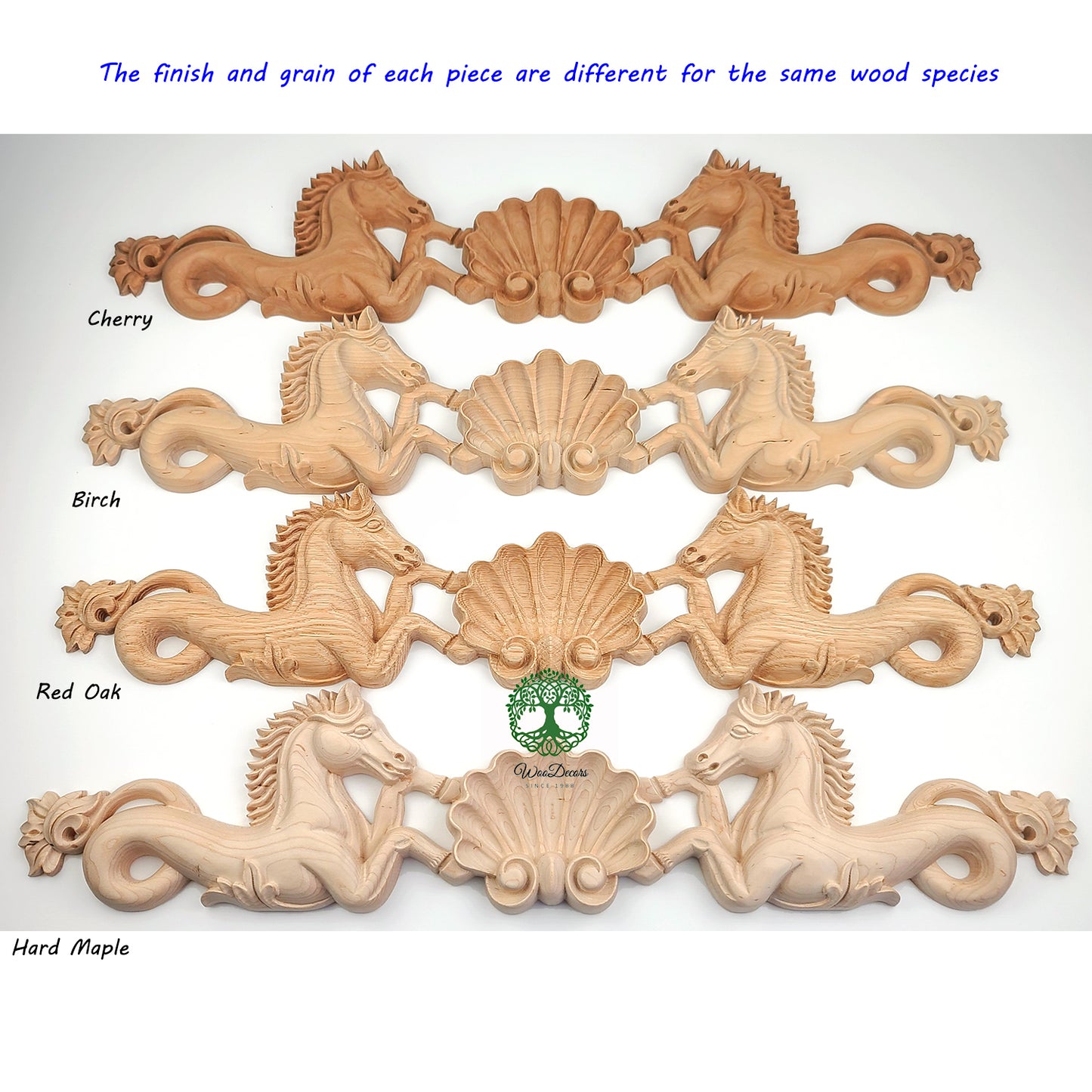 Horse Shell Carved Wood Applique Onlay, Available in 12", 16" & 23" Wide, Single